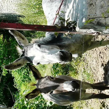 Σπίτι διακοπών De Barenne
